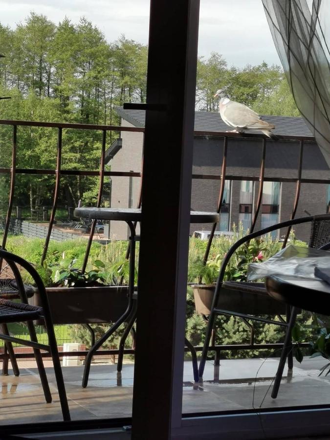 Neringa Apartamentai Palanga Kültér fotó